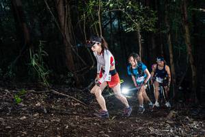 BIB: 
                            <button type="button" onclick="openModal(19040929)" class="btn btn-primary btn-sm float-right btn-popup" data-toggle="modal" data-target=".modal-high-quality">
                        <i class="fas fa-shopping-cart"></i> Add to Cart
                    </button>
                                            <button type="button" onclick="isThisMe(19040929, true)" class="btn btn-success btn-sm float-right btn-popup btn-isme hidden" data-toggle="tooltip" data-placement="bottom" title="นี่คือรูปของคุณใช่ไหม คลิกที่นี่เพื่อเอาเข้าอัลบั้ม">
                        <i class="fas fa-plus"></i> Add to album
                    </button>
                    <button type="button" onclick="isThisMe(19040929, false)" class="btn btn-warning btn-sm float-right btn-popup btn-isnotme hidden">
                        <i class="fas fa-ban"></i> Remove from album
                    </button>